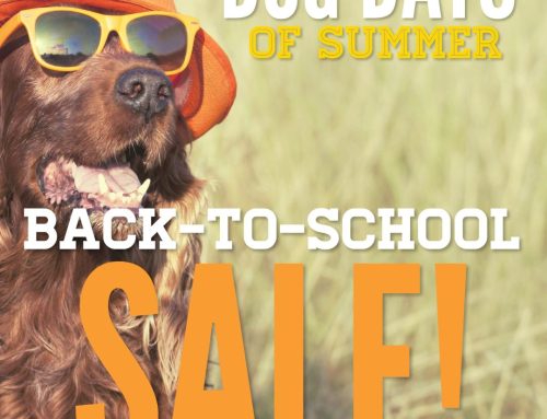3 Day Back-to-School Sale!