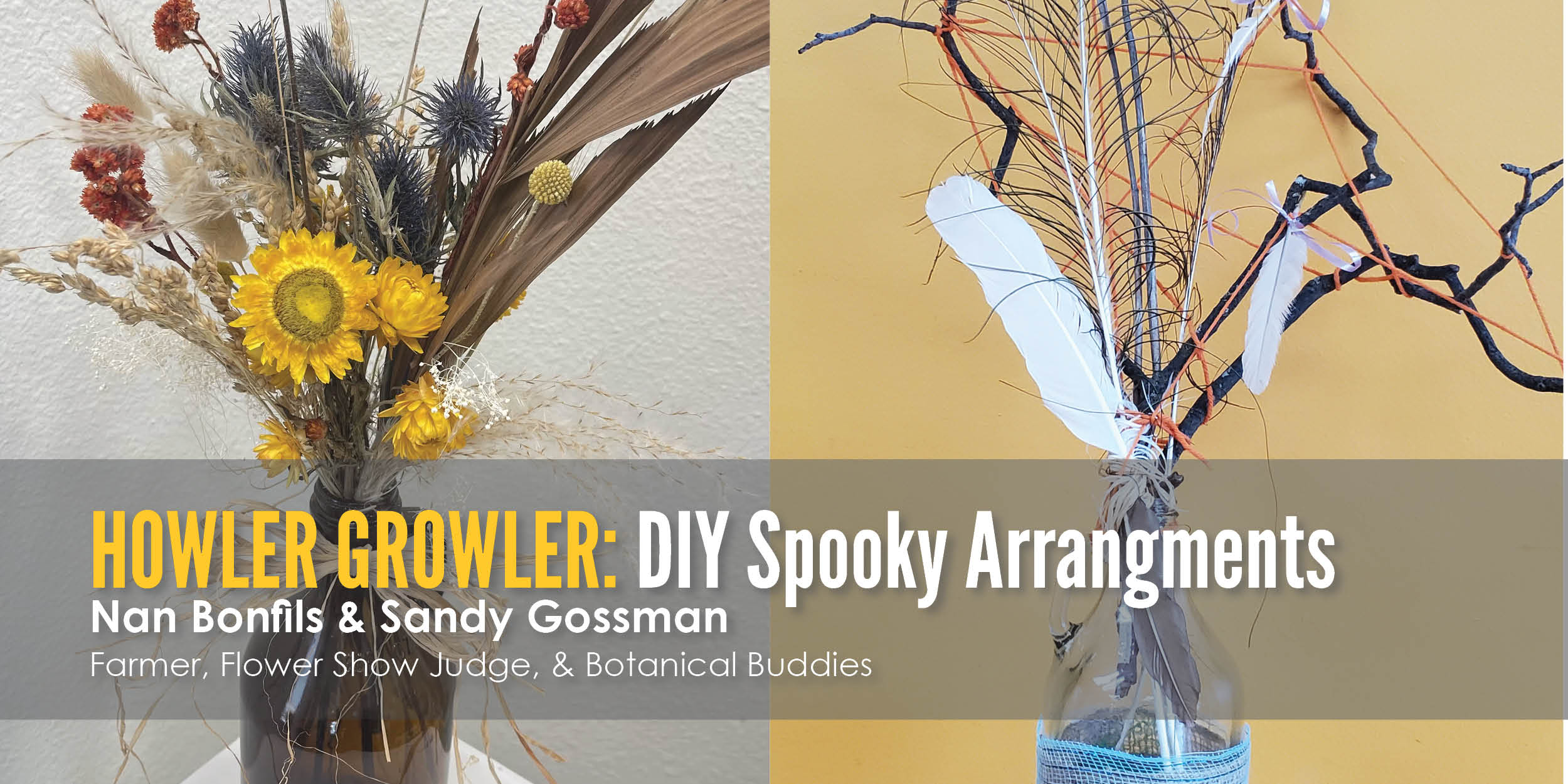 Howler Growler banner
