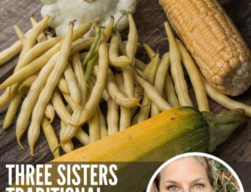 HANDS-ON CLASS: Three Sisters Traditional Preservation