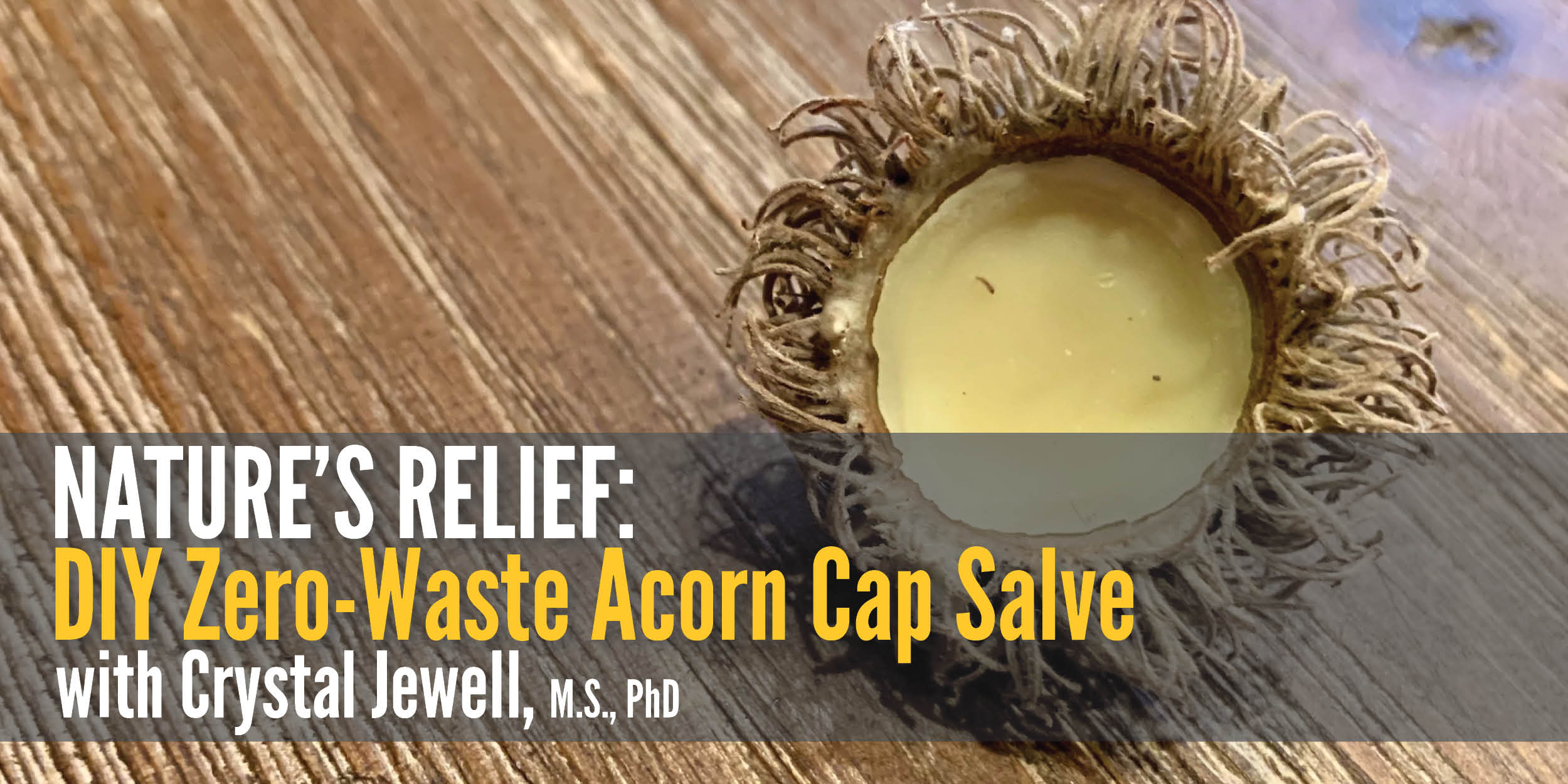 acorn cap salve banner