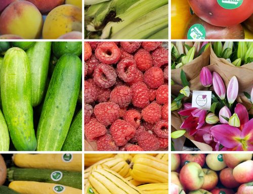 September 2026 Produce Parable