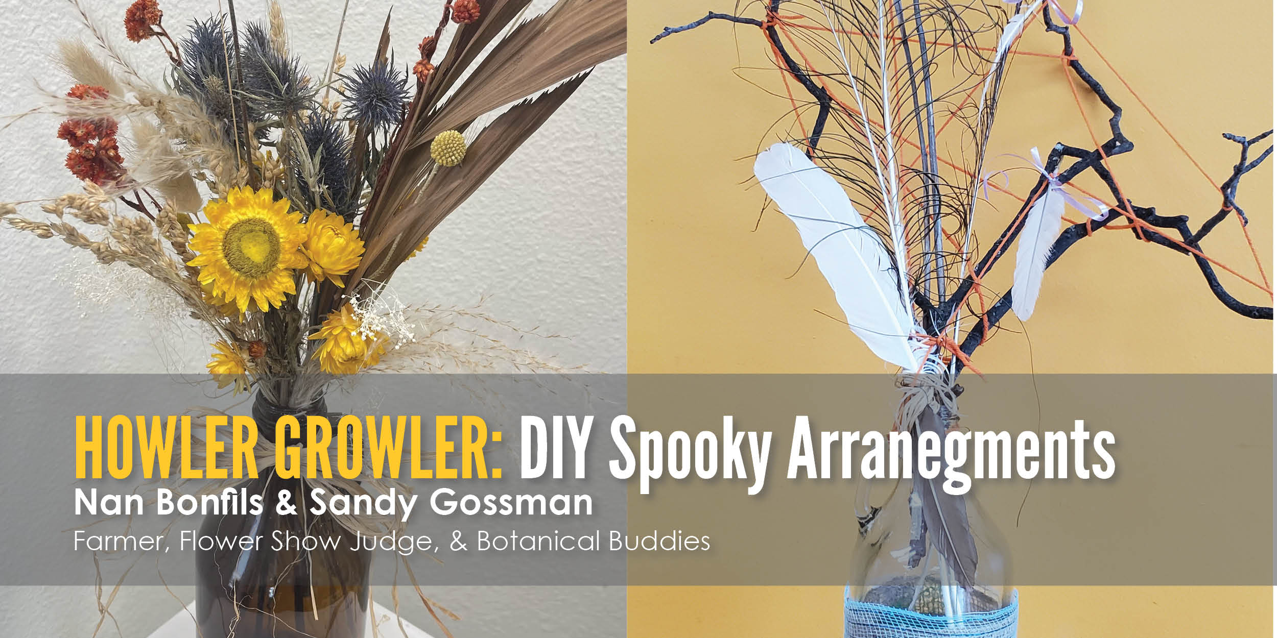 Howler Growler banner c